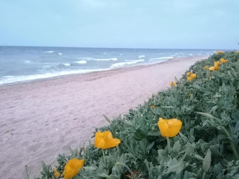 La Doi Pasi De Mare Hotel Vama Veche Bagian luar foto